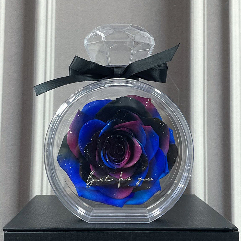 Eternal Dried Rose Gift Box with Transparent Cover – Home Decor & Gifts