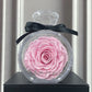 Eternal Dried Rose Gift Box with Transparent Cover – Home Decor & Gifts