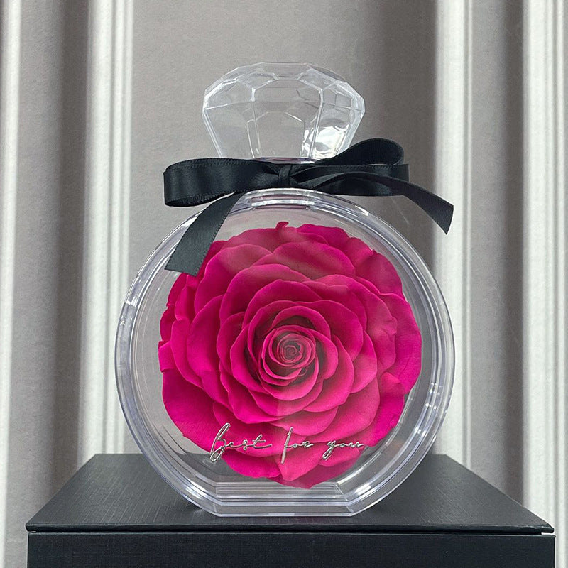 Eternal Dried Rose Gift Box with Transparent Cover – Home Decor & Gifts