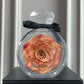 Eternal Dried Rose Gift Box with Transparent Cover – Home Decor & Gifts